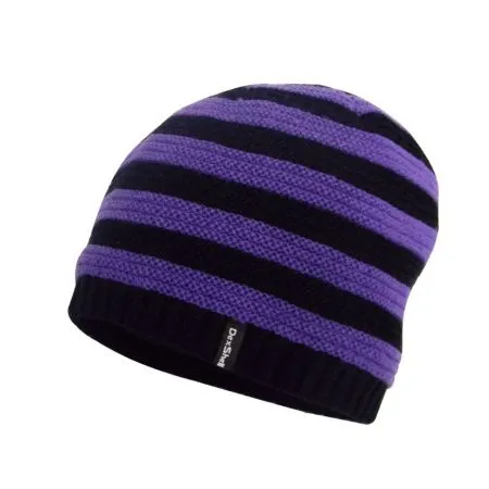 Водонепроницаемая детская шапка DexShell Children Beanie Stripe фиолетовый/черный Водонепроницаемая детская шапка DexShell Children Beanie Stripe фиолетовый/черный